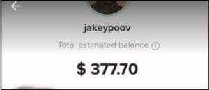 fond créateur TikTok